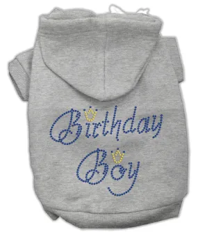 Birthday Boy Hoodies Grey S (10)